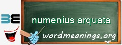 WordMeaning blackboard for numenius arquata